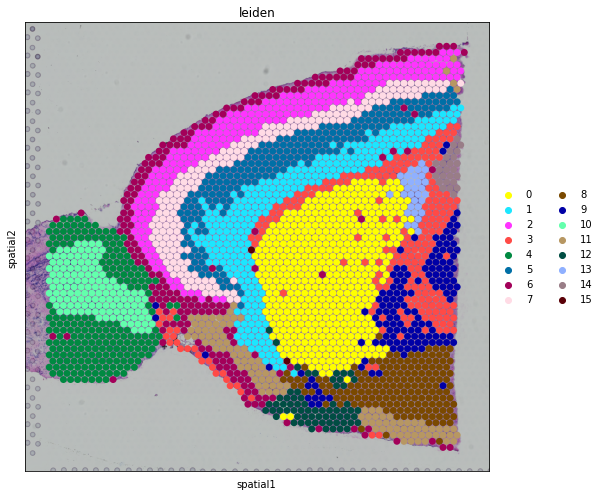 ../_images/tutorials_10x_Visium_mouse_brain_17_0.png