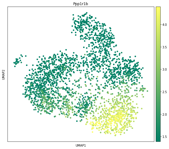 ../_images/tutorials_10x_Visium_mouse_brain_29_0.png