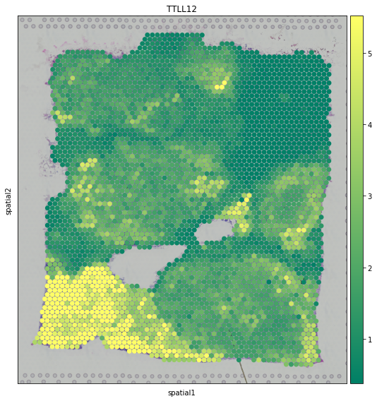 ../_images/tutorials_denoising_and_meta_genes_11_0.png