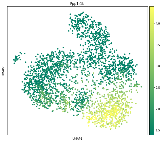 ../_images/tutorials_10x_Visium_mouse_brain_29_0.png