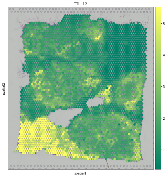 ../_images/tutorials_denoising_and_meta_genes_11_0.png